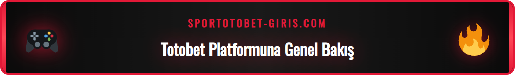 Totobet platformunun ne olduğunu açıklayan detaylı bir infografik.